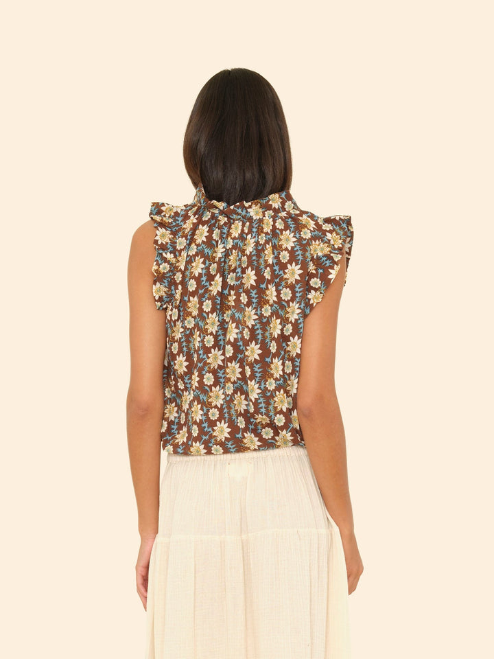 X2503 Top Cedar Bex Top Cedar Bex Top