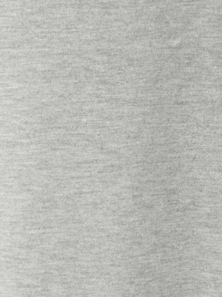 Xirena Tee Heather Grey Palmer Tee